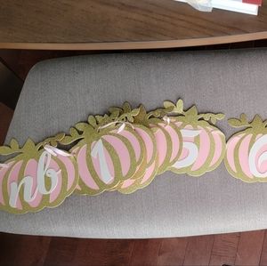 Picture banner for 1st year